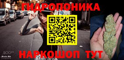 Альфа ПВП Новокубанск