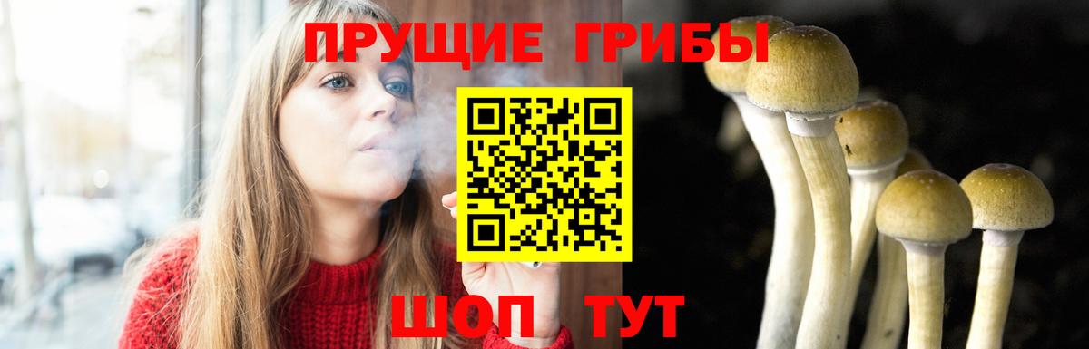 Псилоцибиновые грибы GOLDEN TEACHER  Галлюциногенные грибы мухоморы  Архангельск  Вход с VPN 